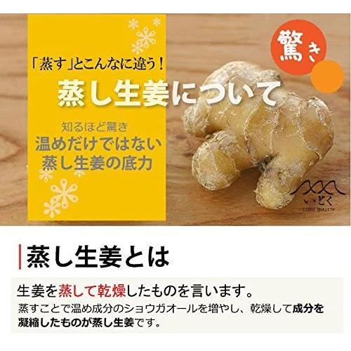 国内産生姜 蒸し生姜湯 16g 5入 10袋セット 粉末タイプ 蒸した生姜と生生姜をダブルで使用 温活 蒸生姜湯 イトク食品 0001 ウッドヴィレッジ ヤフー店 通販 Yahoo ショッピング