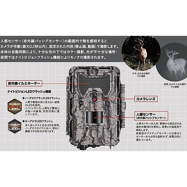 屋外型センサーカメラ トロフィーカム Xltmpノーグロー 不可視ライト 人感センサー内蔵監視カメラ ブッシュネル 日本正規品 保証付 ウッドヴィレッジ ヤフー店 通販 Yahoo ショッピング