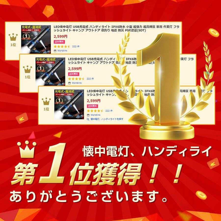 LED懐中電灯 LEDライト USB充電式 ハンディライト IPX6防水 小型