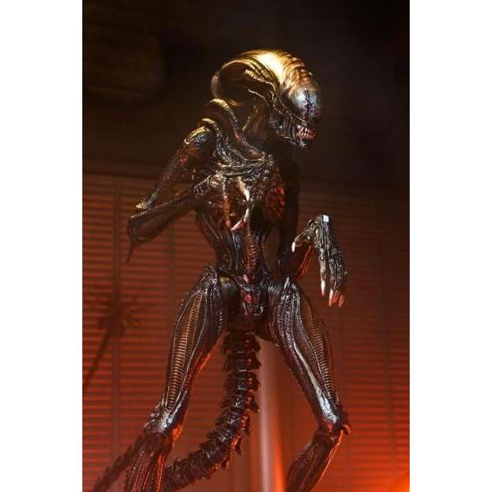 NECA ゼノモーフ エイリアン ロムルス アクションフィギュア 18cm