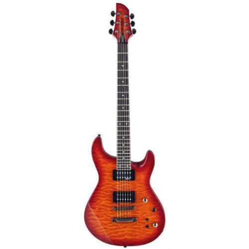 コンビニ受取対応商品】 Fernandes (フェルナンデス) Dragonfly Pro ...