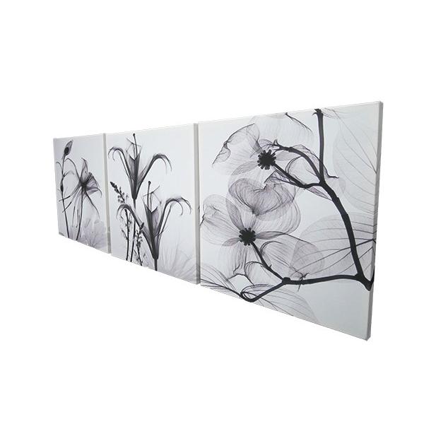 日本最大のブランド インテリア 選べるサイズ アートパネル 果物 おしゃれ 写真 フォト 絵画 フルーツ 玄関