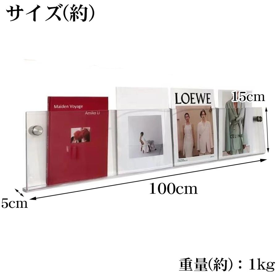 ウォールラック 壁 マガジンラック 単品 幅100cm アクリル レコード