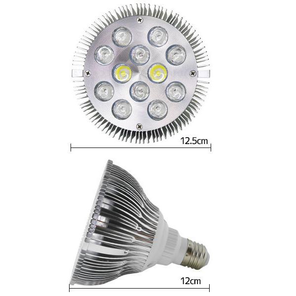E26口金 24W 珊瑚 植物育成 水草用 水槽用 LEDアクアリウムスポットライト 青8灯白2灯赤2灯 【QL-03】 :100090855:WORLDNETヤフーショッピング店 - 通販 - Yahoo!ショッピング E26口金 24W 珊瑚 植物育成 水草用 水槽用 LEDアクアリウムスポットライト 青8灯白2灯赤2灯 【QL-03】 :100090855:WORLDNETヤフーショッピング店 - 通販 - Yahoo!ショッピング