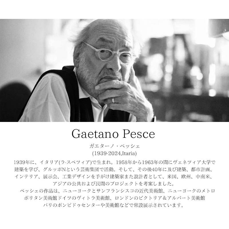 本 稀少本 GAETANO PESCE ガエターノ・ペッシェ