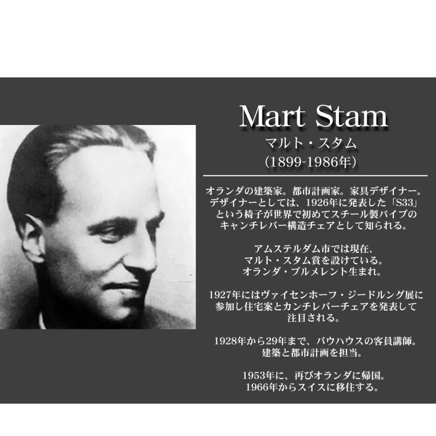 ダイニングチェア レザー 2脚セット 革張り 一人掛け S34 マルトスタム