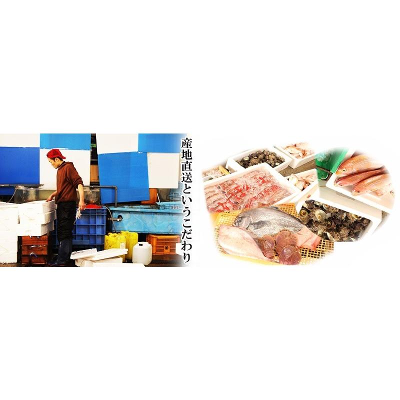 鮮魚　うまい魚のオーダーメイド福袋 松コース 五万円ポッキリ／冷蔵便｜worldone｜03