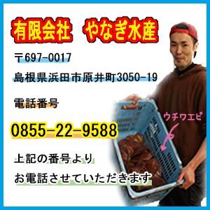 鮮魚　うまい魚のオーダーメイド福袋 松コース 五万円ポッキリ／冷蔵便｜worldone｜05
