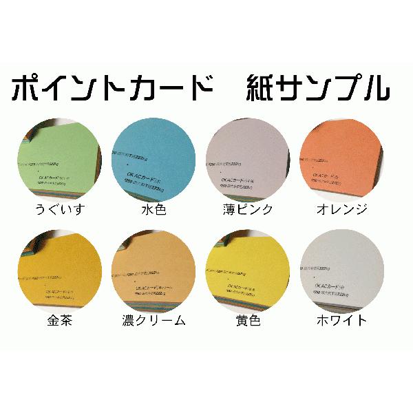 オリジナルポイントカード印刷（スタンプカード印刷）100枚 P009 両面クロ刷り-初回データ作成費無料サービス |  | 01