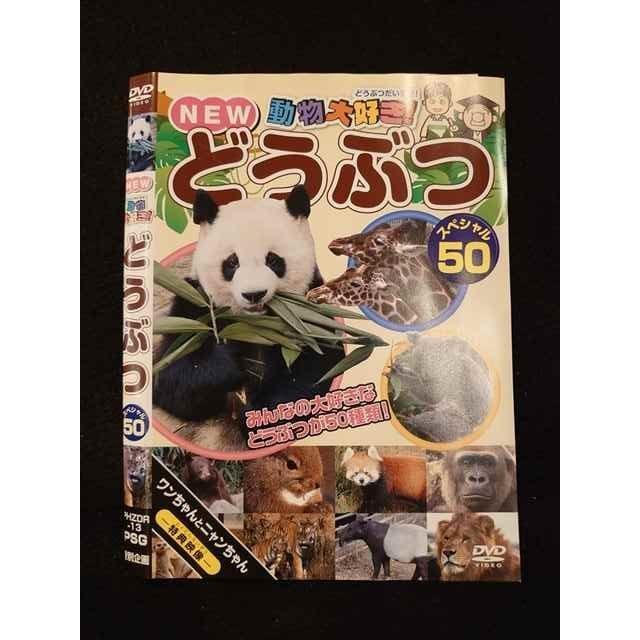 ○012541 レンタルUP・DVD NEW 動物大好き！ どうぶつ スペシャル50 13