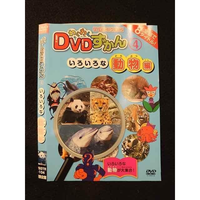 ○012767 レンタルUP：DVD わくわくDVDずかん4 いろいろな動物編 104 