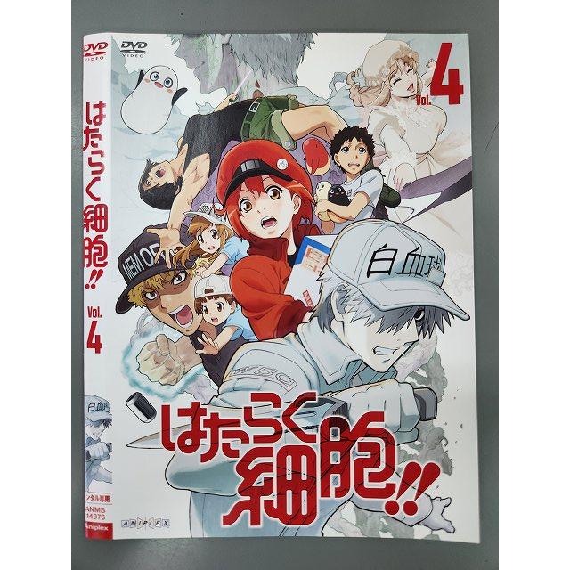 はたらく細胞!! 第２期　【全4巻】　レンタル版DVD 全巻セット　アニメ Amazon.co.jp: レンタル落ちDVD 『 はたらく細胞 』一期全7巻+二期全4