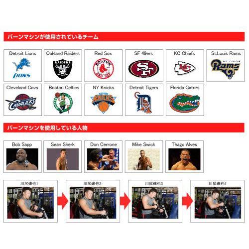 バーンマシーン プロフェッショナル 12LBS スピードバッグ/上半身筋トレ・筋力アップ |  | 03