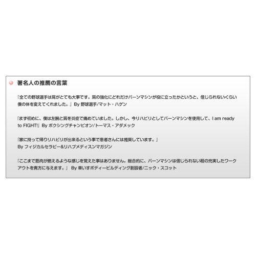 バーンマシーン プロフェッショナル 12LBS スピードバッグ/上半身筋トレ・筋力アップ |  | 04