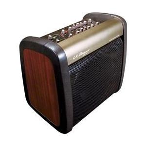 LR Baggs A-REF 200Watt 2-Channel Acoustic Amplifier