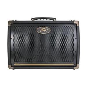 Peavey Ecoustic E208 30W 2x8 Acoustic Combo Amp