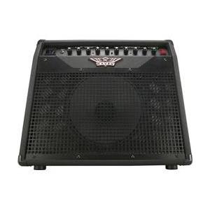 Raven RG60 Guitar Combo Amplifierの画像