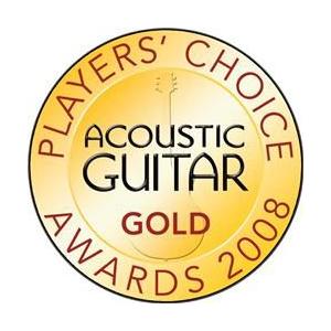 メール便無料 UltraSound CP-100 Acoustic Guitar Combo Amplifier