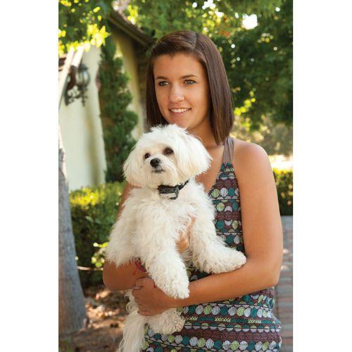 小型犬用 無駄吠え防止首輪バークコントロールカラーPetSafe PBC00-12726 |  | 02