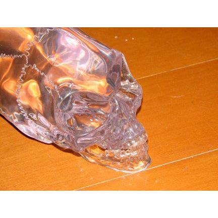 インディ・ジョーンズ エイリアン Crystal Skull