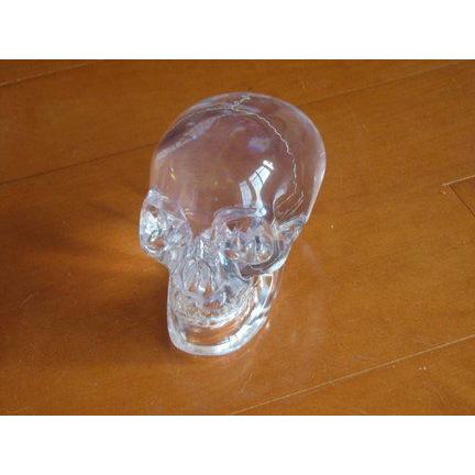インディ・ジョーンズ エイリアン Crystal Skull