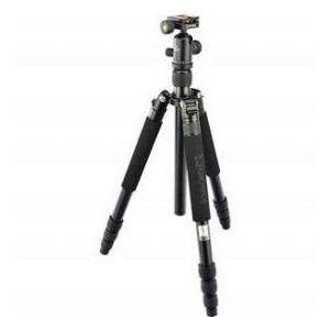 Giottos VITRUVIAN VGR9264-M2C 4-Section Aluminum Tripod with Arca Style Quick Release Ball Head,
