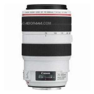 Canon EF 70-300mm f/4-5.6L IS USM Autofocus Telephoto Zoom Lens - Grey Market |  | 01