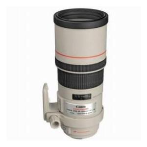 Canon EF 300mm f 4L IS USM Image Stabilizer AutoFocus Telephoto Lens with Case  Hood Grey Mark
