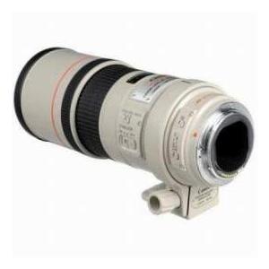 Canon EF 300mm f/4L IS USM Image Stabilizer AutoFocus Telephoto Lens with Case & Hood - Grey Mark |  | 02