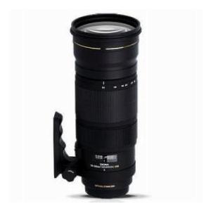 Sigma 120-300mm f/2.8 EX DG OS APO HSM Telephoto Zoom Lens for Nikon Cameras - Bundle - with Sigm |  | 01
