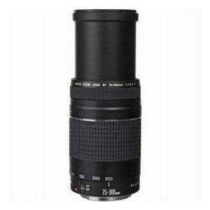 美品Canon Zoom Lens EF 75-300mm F4-5.6 III Canon EF 75-300mm F/4-5.6 III Autofocus Telephoto Zoom Lens - Grey