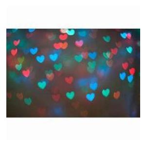 DIY Photography Bokeh Masters Kit, Special Effects System for Portraits |  | 03