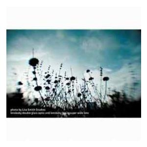 Lensbaby 0.42X Super Wide Converter Lens for Lensbaby Optics #AWA42