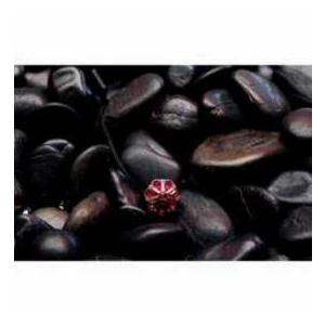 Mod Pink Rhinestone Cap Saver |  | 01