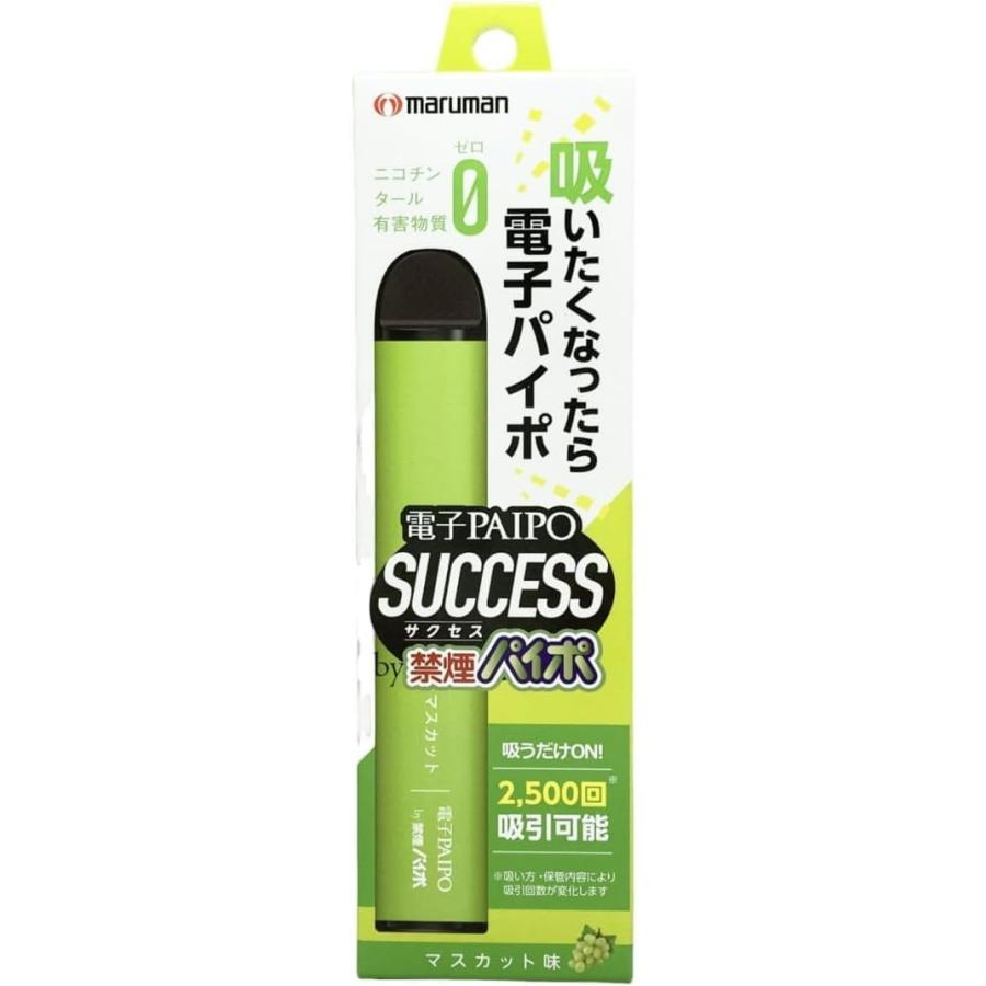 マルマンH&B マルマン 電子パイポ サクセス 禁煙パイポ 電子PAIPO