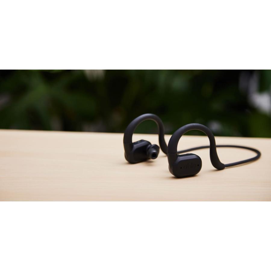 ポイント還元】able aid（エイブルエイド） 超小型デジタル集音器