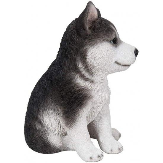 Pacific Giftware リアルな動物の座っているハスキーの子犬 コレクション用ホームデコレーションフィギュ_3