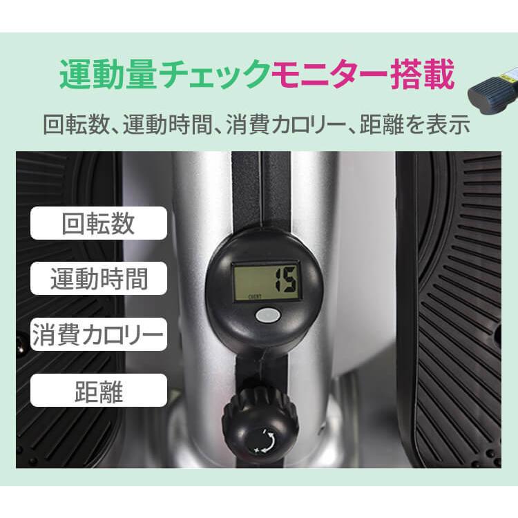 ステッパー ルームバイク フィットネスバイク 立位・座位 2WAY
