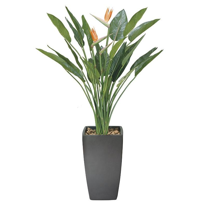 100 本物 のjapan 光の楽園 光の楽園 造花 アートフラワー アートストレチア花付1 8 送料無料ポイント10倍 アートグリーン 人工観葉植物 光触媒 花束 アレンジメント 116a900 Just 花束 アレンジメント