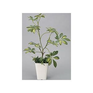 ポイント10倍《アートグリーン》《人工観葉植物》光触媒　光の園　シェフレラ