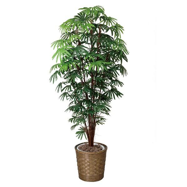 独創的 送料無料 ポイント10倍 アートグリーン 人工観葉植物 光触媒 光の楽園 シュロチク1 8 半額品 Www Montessoripathways Com Au