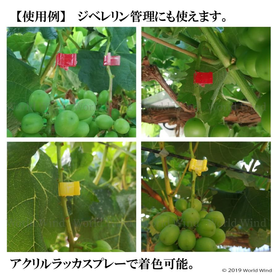 接木クリップ 接ぎ木 ホルダ フレンド 苗 ジベレリン 100個 |  | 03