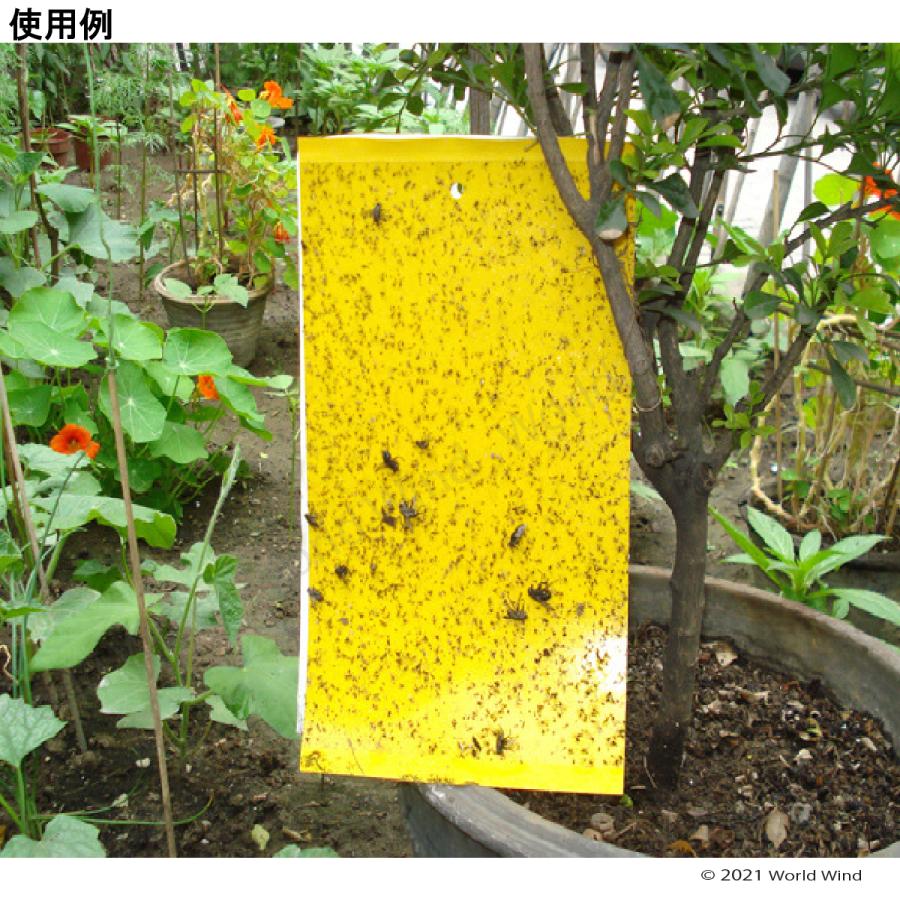 捕虫シート 強力 粘着 20枚 15×25cm 害虫 捕獲 両面 トラップ 虫取り 安全 薬品不使用 無害で安全 カット可 耐水素材 ビニタイ付 黄色 青色 |  | 02
