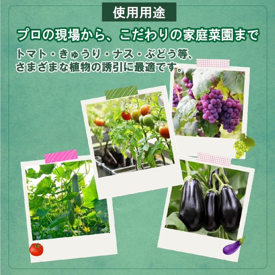 園芸用結束機 テープナー部品と互換性有 新 誘引結束機 野菜誘引 植物 誘引 ぶどう トマト キュウリ ナス 農業テープツール 家庭菜園 ガーデニング テープ針付 |  | 13