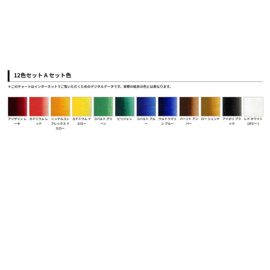 ホルベイン 油絵具 油一 YUICHI 20ml Y091 12色セット A 001091の画像