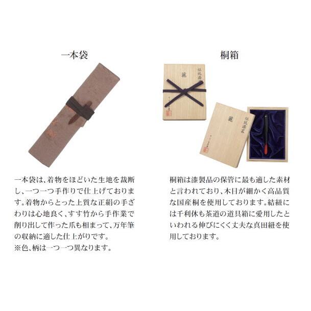 セーラー万年筆 伝統漆芸 麗 青森 風雅文塗万年筆 常盤色 中字 M 10