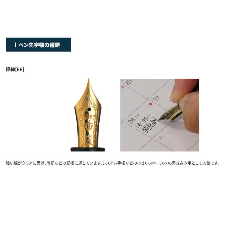 セーラー 万年筆 極細」の人気商品一覧 | 安い商品を通販サイトから