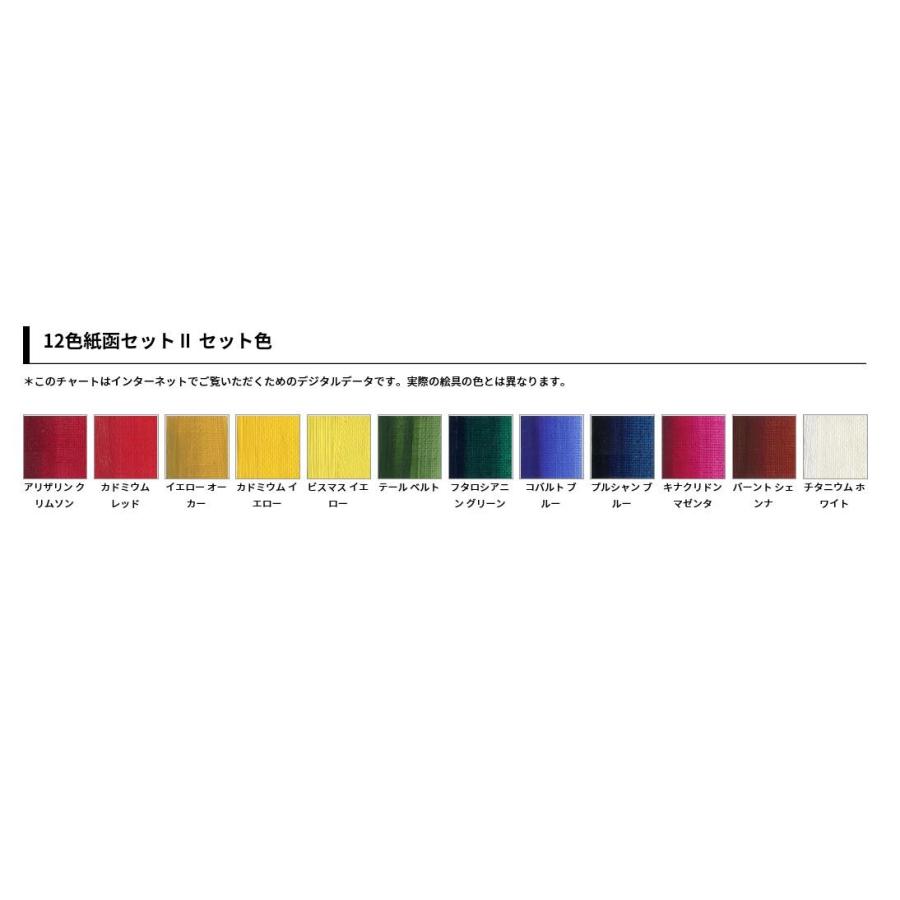 ホルベイン 高品位油絵具 ヴェルネ 20ml V192 12色紙函セットII 011192の画像