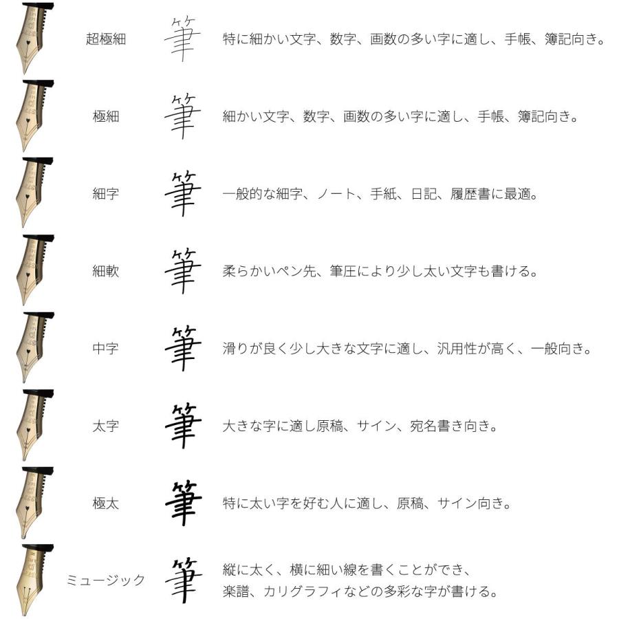 プラチナ万年筆 PLATINUM 銀無垢 #9 シルバー 万年筆 PTS-50000 F 細