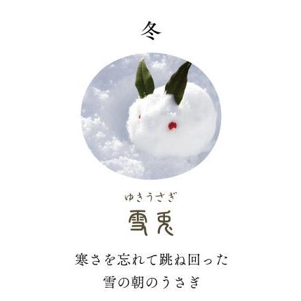 SHIKIORI セーラー万年筆 四季織 草遊び ボールペン 雪兎 16-0357-204